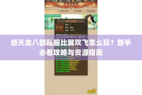 新天龙八部私服比翼双飞怎么玩？新手必看攻略与资源指南