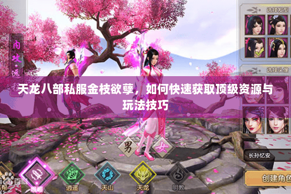 天龙八部私服金枝欲孽，如何快速获取顶级资源与玩法技巧