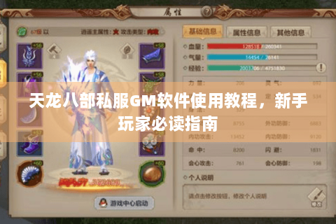 天龙八部私服GM软件使用教程,新手玩家必读指南 天龙八部私服GM软件使用教程,新手玩家必读指南