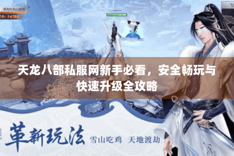 天龙八部私服网新手必看，安全畅玩与快速升级全攻略