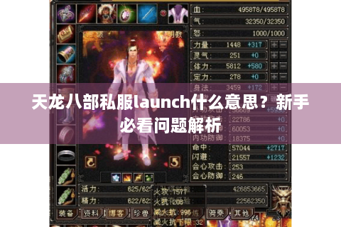 天龙八部私服launch什么意思？新手必看问题解析