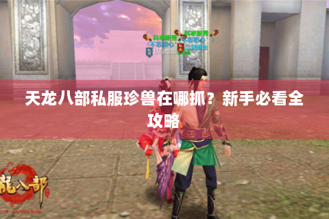 天龙八部私服珍兽在哪抓?新手必看全攻略 天龙八部私服珍兽在哪抓?新手必看全攻略