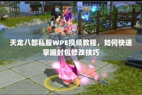 天龙八部私服WPE视频教程，如何快速掌握封包修改技巧
