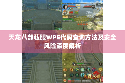天龙八部私服WPE代码查询方法及安全风险深度解析