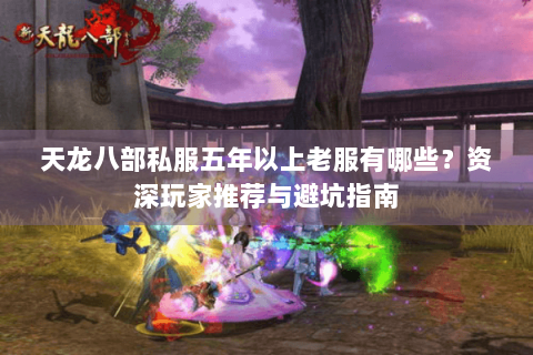 天龙八部私服五年以上老服有哪些?资深玩家推荐与避坑指南 天龙八部私服五年以上老服有哪些?资深玩家推荐与避坑指南