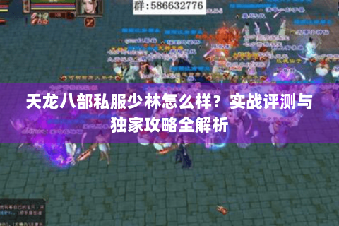 天龙八部私服少林怎么样？实战评测与独家攻略全解析