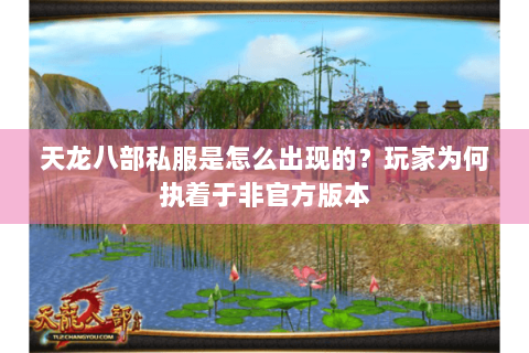 天龙八部私服是怎么出现的？玩家为何执着于非官方版本