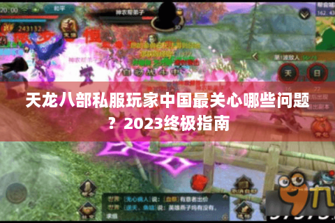 天龙八部私服玩家中国最关心哪些问题？2023终极指南