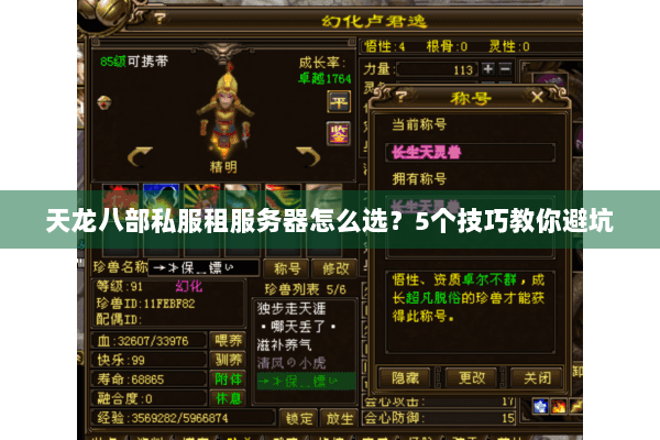 天龙八部私服租服务器怎么选?5个技巧教你避坑 天龙八部私服租服务器怎么选?5个技巧教你避坑