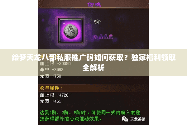 绘梦天龙八部私服推广码如何获取?独家福利领取全解析 绘梦天龙八部私服推广码如何获取?独家福利领取全解析