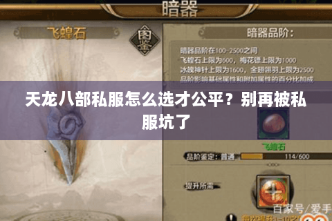 天龙八部私服怎么选才公平？别再被私服坑了