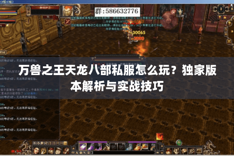 万兽之王天龙八部私服怎么玩？独家版本解析与实战技巧