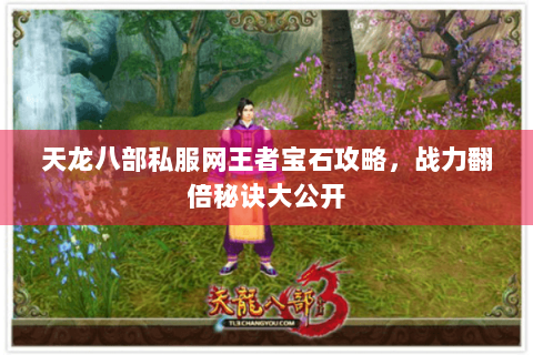天龙八部私服网王者宝石攻略,战力翻倍秘诀大公开 天龙八部私服网王者宝石攻略,战力翻倍秘诀大公开
