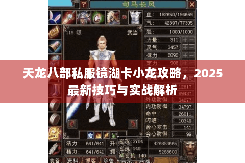 天龙八部私服镜湖卡小龙攻略,2025最新技巧与实战解析 天龙八部私服镜湖卡小龙攻略,2025最新技巧与实战解析