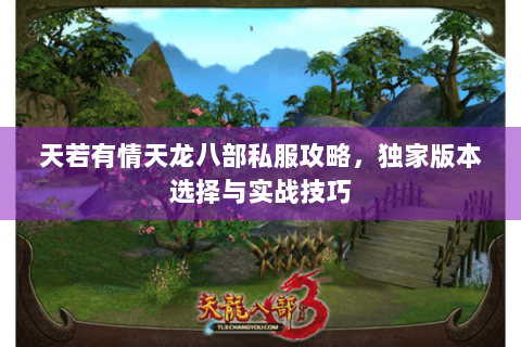 天若有情天龙八部私服攻略，独家版本选择与实战技巧