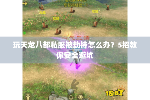 玩天龙八部私服被劫持怎么办？5招教你安全避坑