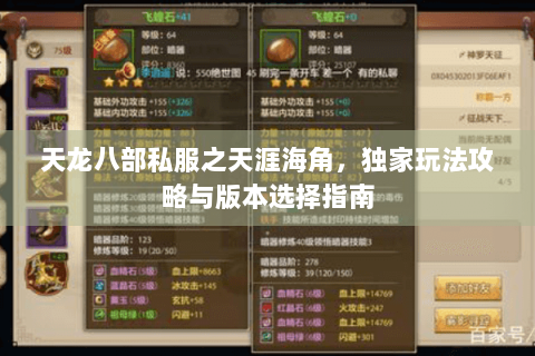 天龙八部私服之天涯海角,独家玩法攻略与版本选择指南 天龙八部私服之天涯海角,独家玩法攻略与版本选择指南