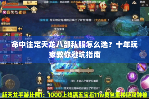 命中注定天龙八部私服怎么选？十年玩家教你避坑指南