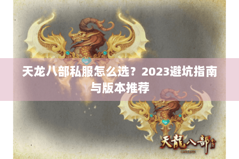 天龙八部私服怎么选?2023避坑指南与版本推荐 天龙八部私服怎么选?2023避坑指南与版本推荐