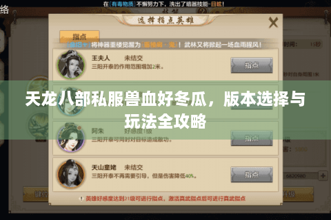 天龙八部私服兽血好冬瓜，版本选择与玩法全攻略