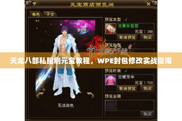 天龙八部私服刷元宝教程,WPE封包修改实战指南 天龙八部私服刷元宝教程,WPE封包修改实战指南