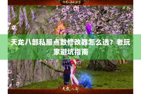 天龙八部私服点数修改器怎么选?老玩家避坑指南 天龙八部私服点数修改器怎么选?老玩家避坑指南