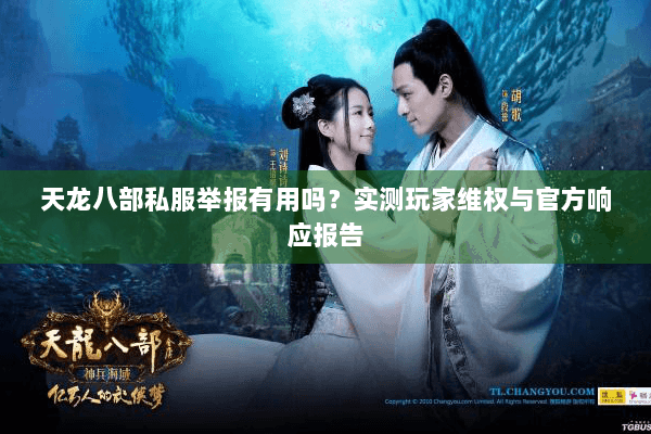 天龙八部私服举报有用吗?实测玩家维权与官方响应报告 天龙八部私服举报有用吗?实测玩家维权与官方响应报告
