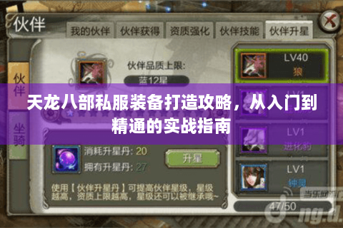 天龙八部私服装备打造攻略,从入门到精通的实战指南 天龙八部私服装备打造攻略,从入门到精通的实战指南