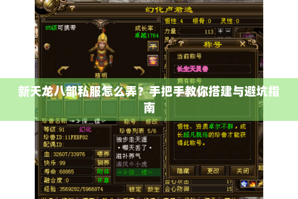 新天龙八部私服怎么弄?手把手教你搭建与避坑指南 新天龙八部私服怎么弄?手把手教你搭建与避坑指南