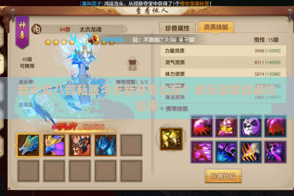 新天龙八部私服今天新开怎么玩？老玩家教你避坑指南