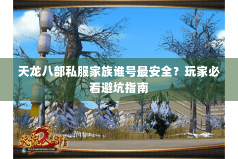 天龙八部私服家族谁号最安全？玩家必看避坑指南