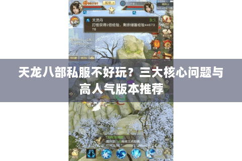 天龙八部私服不好玩?三大核心问题与高人气版本推荐 天龙八部私服不好玩?三大核心问题与高人气版本推荐