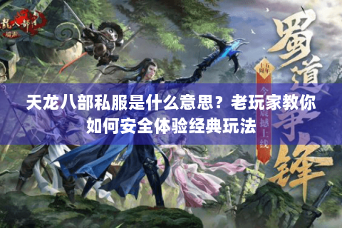 天龙八部私服是什么意思?老玩家教你如何安全体验经典玩法 天龙八部私服是什么意思?老玩家教你如何安全体验经典玩法