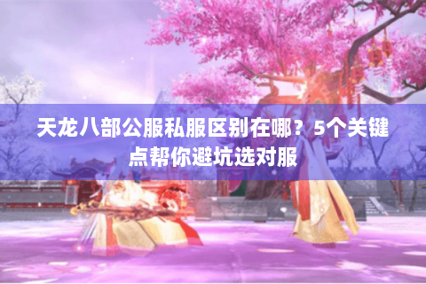 天龙八部公服私服区别在哪？5个关键点帮你避坑选对服