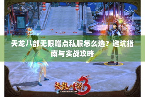 天龙八部无限赠点私服怎么选？避坑指南与实战攻略