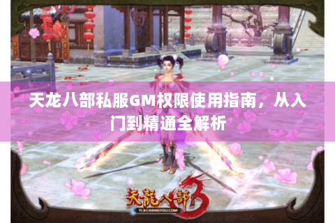 天龙八部私服GM权限使用指南,从入门到精通全解析 天龙八部私服GM权限使用指南,从入门到精通全解析