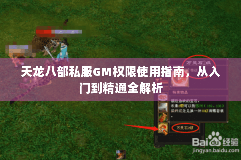 天龙八部私服GM权限使用指南,从入门到精通全解析 天龙八部私服GM权限使用指南,从入门到精通全解析