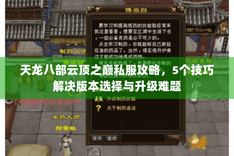 天龙八部云顶之巅私服攻略，5个技巧解决版本选择与升级难题