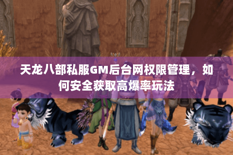 天龙八部私服GM后台网权限管理，如何安全获取高爆率玩法