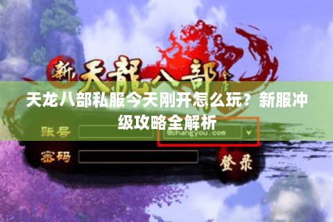 天龙八部私服今天刚开怎么玩？新服冲级攻略全解析