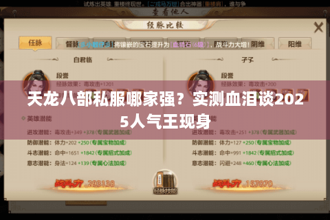 天龙八部私服哪家强?实测血泪谈2025人气王现身 天龙八部私服哪家强?实测血泪谈2025人气王现身