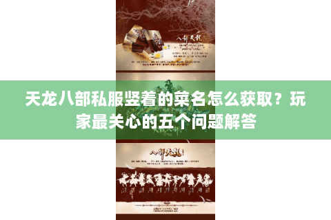 天龙八部私服竖着的菜名怎么获取?玩家最关心的五个问题解答 天龙八部私服竖着的菜名怎么获取?玩家最关心的五个问题解答