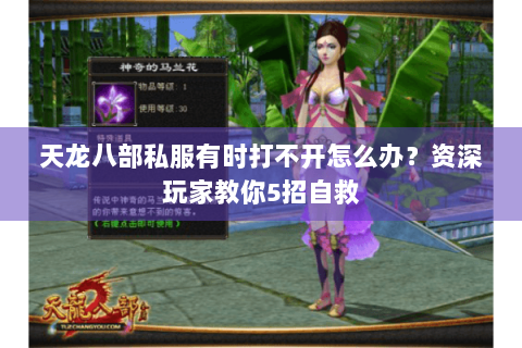 天龙八部私服有时打不开怎么办?资深玩家教你5招自救 天龙八部私服有时打不开怎么办?资深玩家教你5招自救