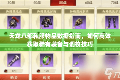天龙八部私服物品数据指南，如何高效获取稀有装备与调校技巧