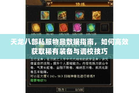 天龙八部私服物品数据指南，如何高效获取稀有装备与调校技巧