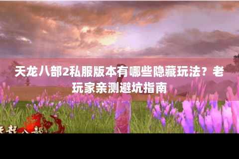 天龙八部2私服版本有哪些隐藏玩法？老玩家亲测避坑指南