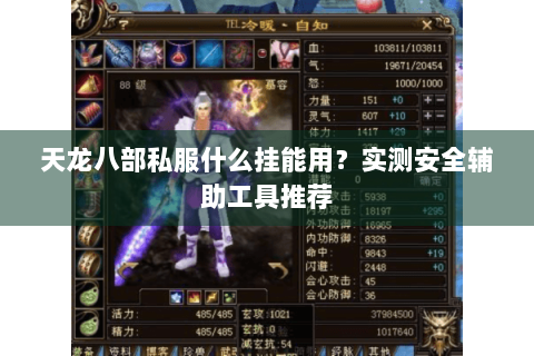 天龙八部私服什么挂能用?实测安全辅助工具推荐 天龙八部私服什么挂能用?实测安全辅助工具推荐