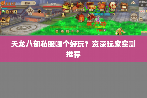 天龙八部私服哪个好玩?资深玩家实测推荐 天龙八部私服哪个好玩?资深玩家实测推荐