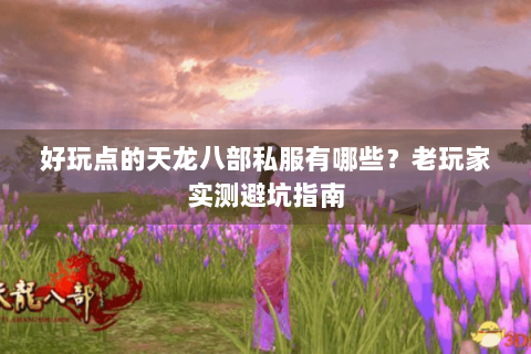 好玩点的天龙八部私服有哪些?老玩家实测避坑指南 好玩点的天龙八部私服有哪些?老玩家实测避坑指南