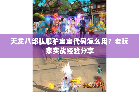 天龙八部私服驴宝宝代码怎么用？老玩家实战经验分享